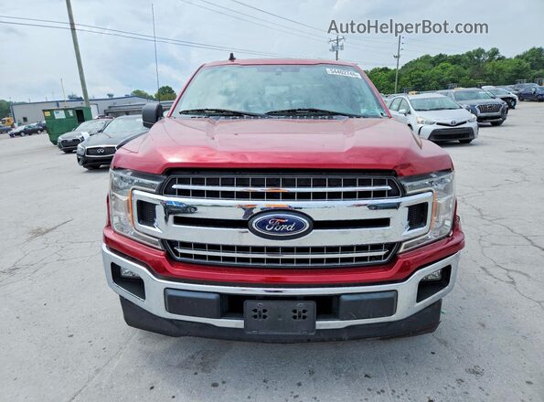 1FTEW1CP7KFC60429 2019 FORD F150 Red 