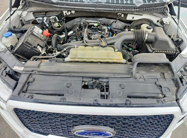 1FTEW1CP7LKE64253 2020 FORD F150 White Սալոնի հետևի տեսք