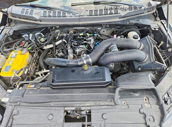 1FTEW1CP8KKE04738 2019 FORD F150 Gray 