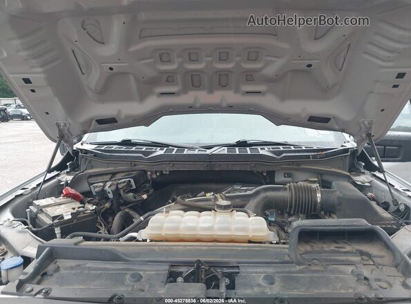 1FTEW1CP8MKD15979 2021 FORD F150 Gray Widok z tyłu