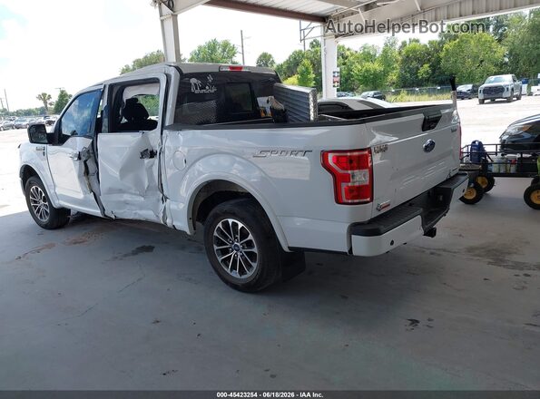 1FTEW1CP9KKC20666 2019 FORD F150 White Задня ліва чверть