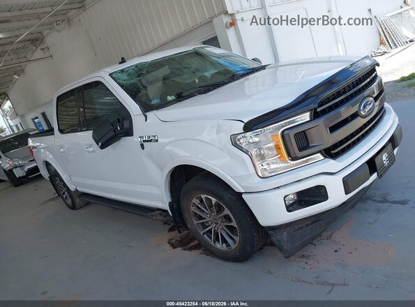 1FTEW1CP9KKC20666 2019 FORD F150 White Вид задньої частини салону