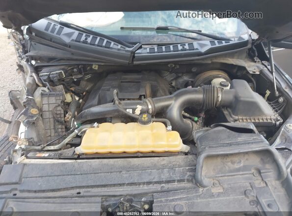 1FTEW1CPXHFA57317 2017 FORD F150 Gray Rear view