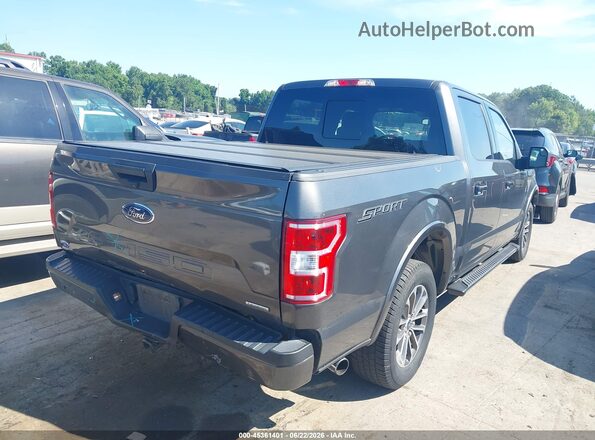 1FTEW1CPXKKC03939 2019 FORD F150 Gray Rear right