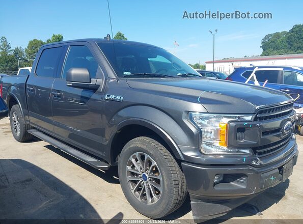 1FTEW1CPXKKC03939 2019 FORD F150 Gray Rear interior view