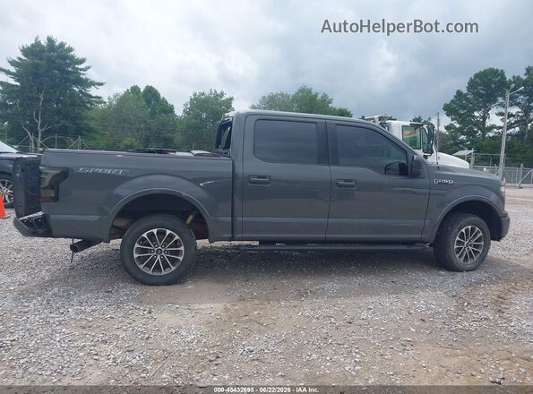1FTEW1CPXLFC38703 2020 FORD F150 Gray უკანა სალონის ხედი