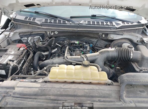 1FTEW1CPXLKE60746 2020 FORD F150 White Widok z tyłu