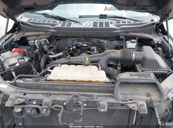 1FTEW1CPXMKD21833 2021 FORD F150 Gray უკანა ხედი