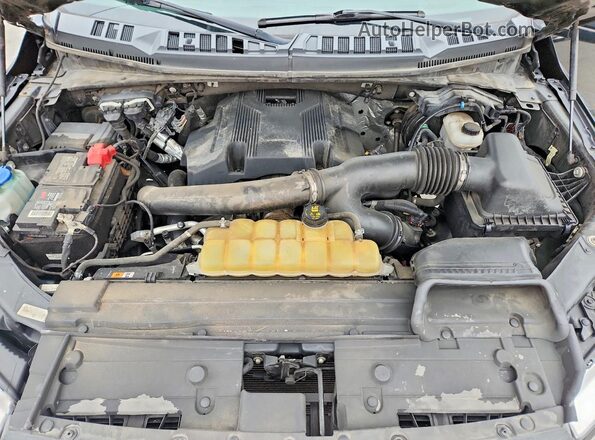 1FTEW1E40KKF17084 2019 FORD F150 Black Вид задньої частини салону