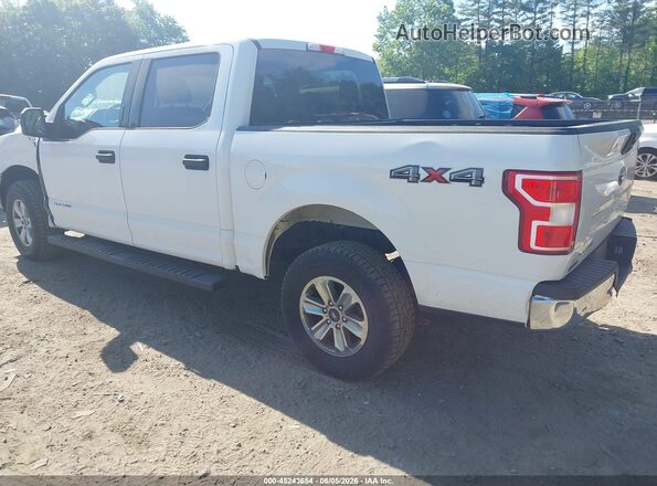 1FTEW1E41KFA82276 2019 FORD F150 Белый Задняя левая четверть