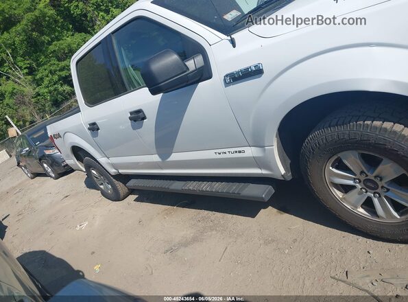1FTEW1E41KFA82276 2019 FORD F150 Белый Вид задней части салона