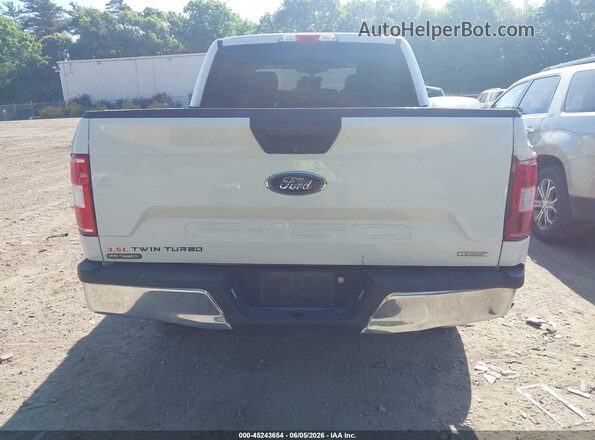 1FTEW1E41KFA82276 2019 FORD F150 Белый 