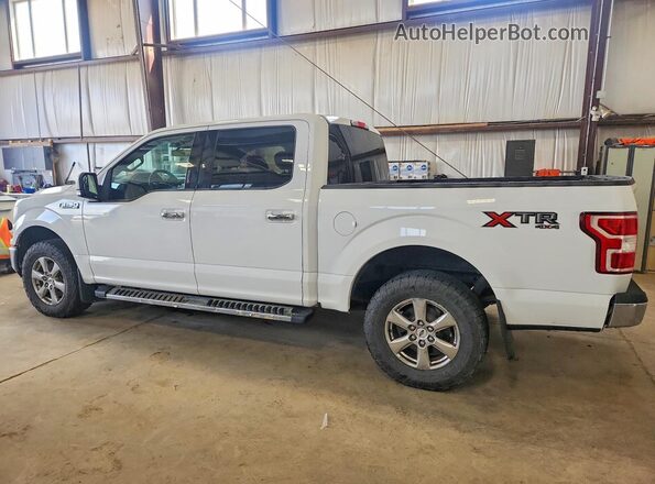 1FTEW1E41KFB54237 2019 FORD F150 White 