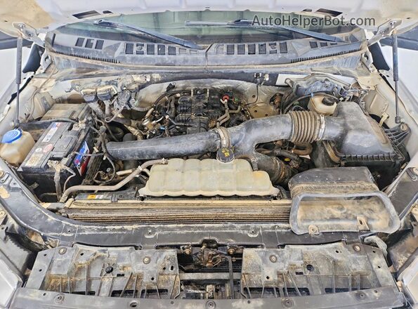 1FTEW1E41KFB54237 2019 FORD F150 White 