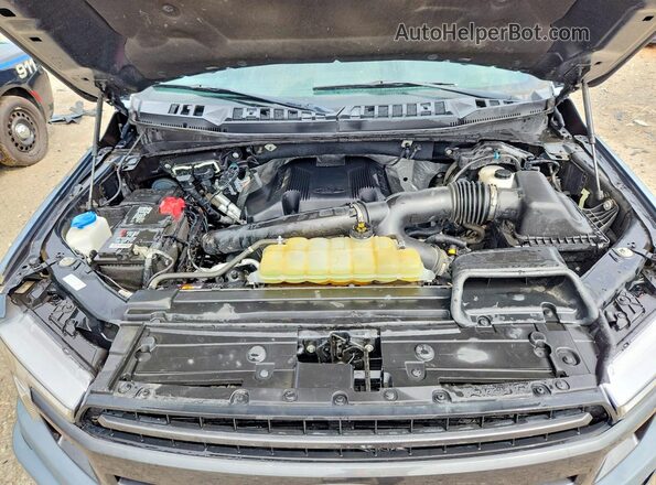 1FTEW1E41KFC44018 2019 FORD F150 Gray Vista interior trasera