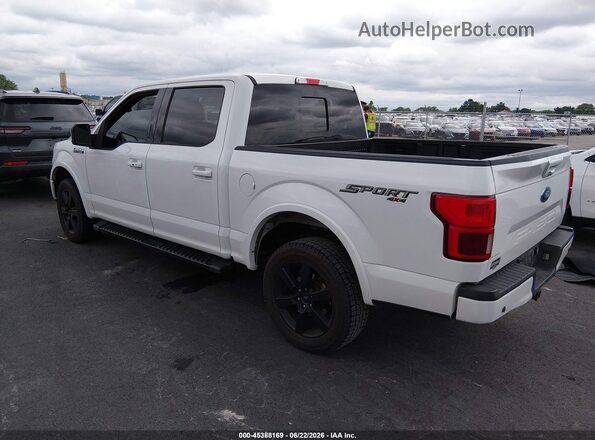1FTEW1E50KFA37306 2019 FORD F150 White Tył lewy