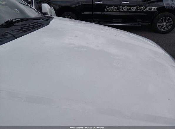 1FTEW1E50KFA37306 2019 FORD F150 White Widok z przodu