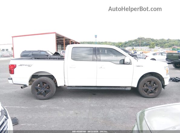 1FTEW1E50KFA37306 2019 FORD F150 White Widok wnętrza z tyłu