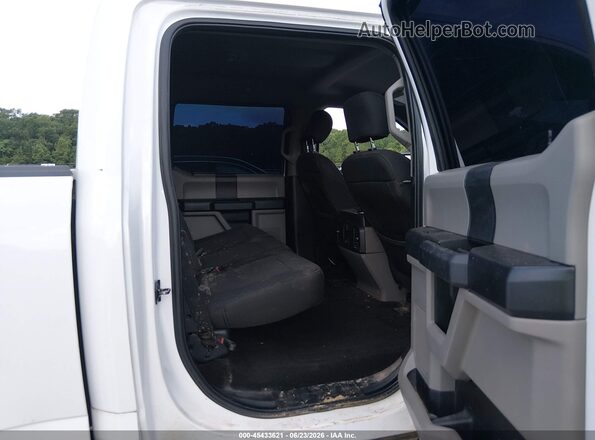 1FTEW1E51LKD55413 2020 FORD F150 White Вид наклейки з VIN-кодом