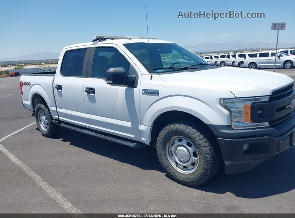 1FTEW1E52KKE23331 2019 FORD F150 White 