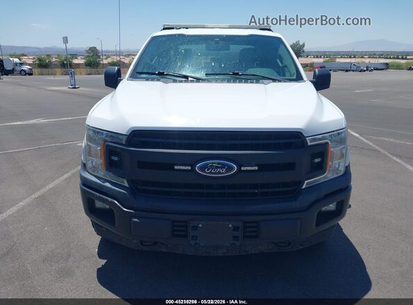 1FTEW1E52KKE23331 2019 FORD F150 White 