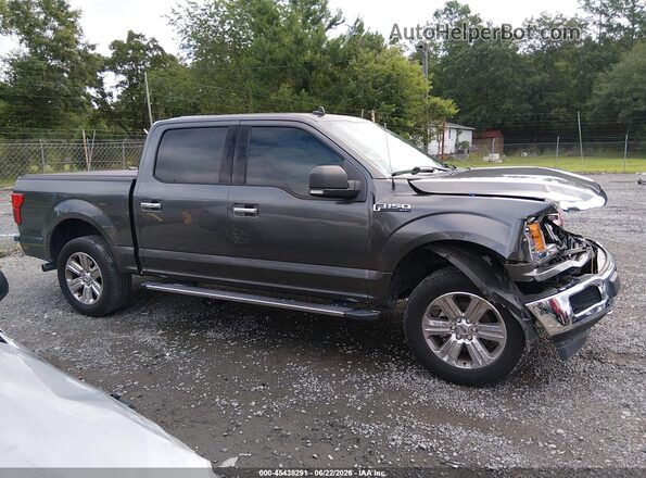 1FTEW1E53KFA28129 2019 FORD F150 Gray Widok wnętrza z tyłu