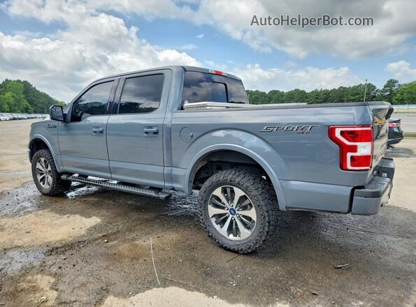 1FTEW1E55KKC45933 2019 FORD F150 Gray Задня ліва чверть