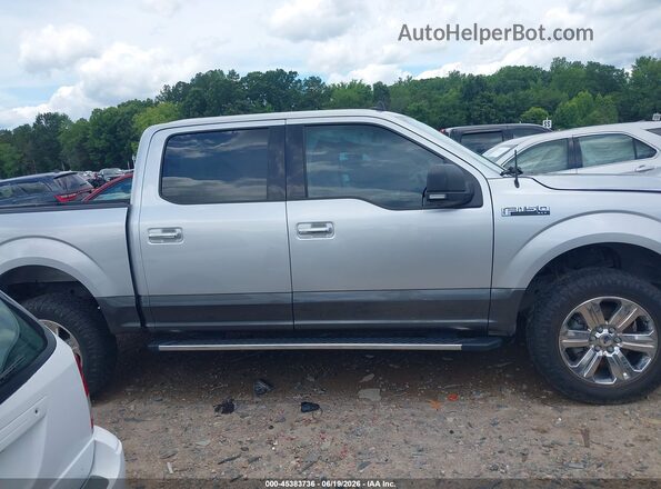 1FTEW1E56KFA79527 2019 FORD F150 Silver Սալոնի հետևի տեսք