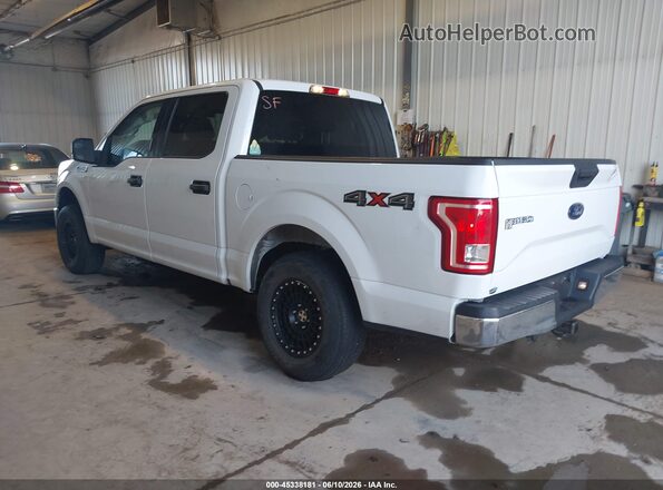 1FTEW1E84HFC04205 2017 FORD F150 Белый Задняя левая четверть