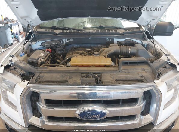 1FTEW1E84HFC04205 2017 FORD F150 Белый Вид сзади