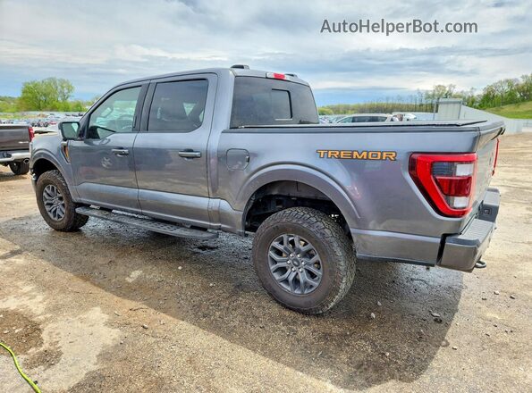 1FTEW1E86PFD14915 2023 FORD F150 Gray 