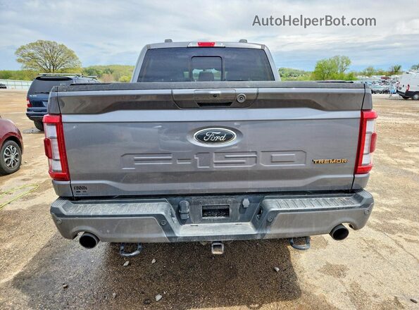 1FTEW1E86PFD14915 2023 FORD F150 Gray 