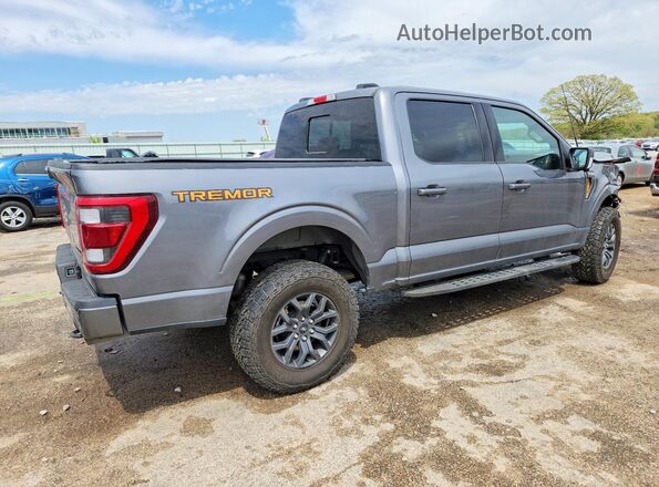 1FTEW1E86PFD14915 2023 FORD F150 Gray 