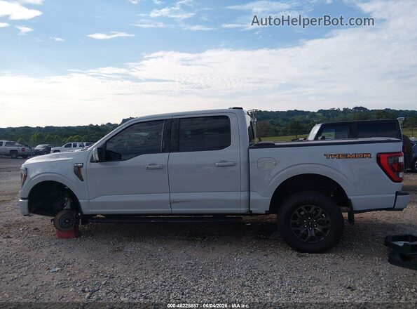 1FTEW1E88PFC92528 2023 FORD F150 Turquoise 