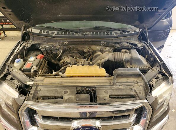 1FTEW1E8XGKF14039 2016 FORD F150 Gray Vista interior trasera