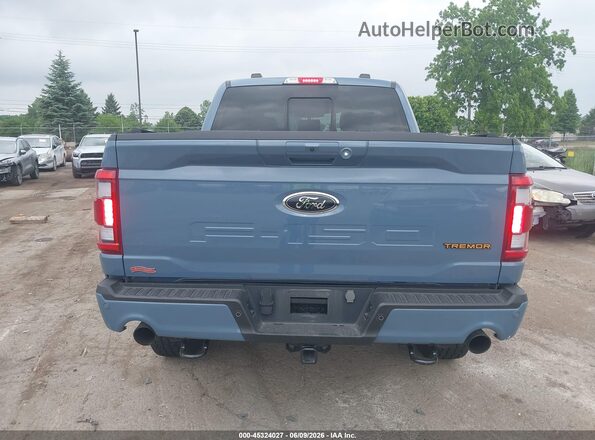 1FTEW1E8XPFB46700 2023 FORD F150 Blue 