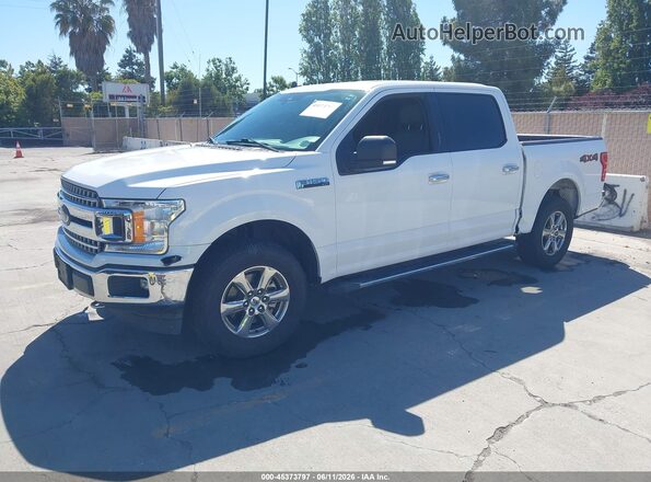 1FTEW1EB0KKD98290 2019 FORD F150 White 