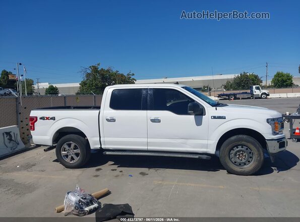 1FTEW1EB0KKD98290 2019 FORD F150 White 