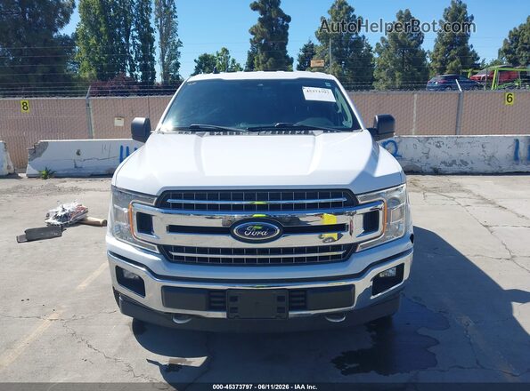 1FTEW1EB0KKD98290 2019 FORD F150 White 