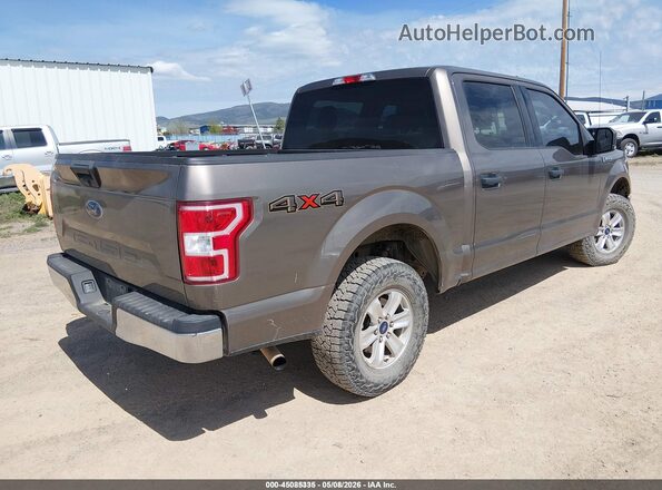 1FTEW1EB1KFA22237 2019 FORD F150 Brown Tył prawy