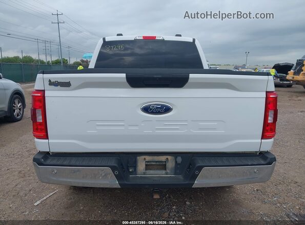 1FTEW1EB2PKD33755 2023 FORD F150 White 
