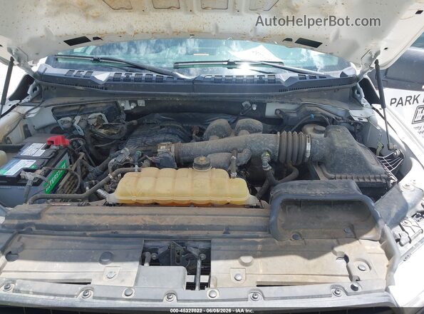 1FTEW1EB3LKE81777 2020 FORD F150 White Հետևի տեսք