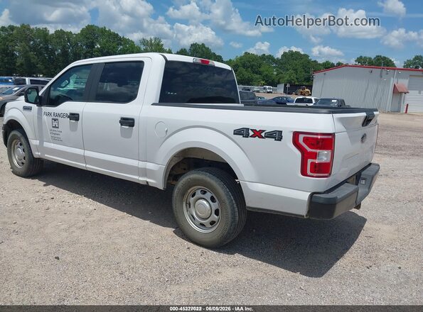 1FTEW1EB3LKE81777 2020 FORD F150 White Հետևի ձախ