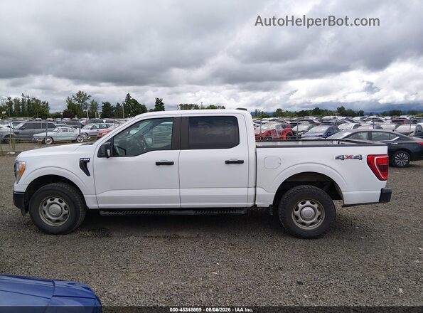 1FTEW1EB3MFB38431 2021 FORD F150 White 