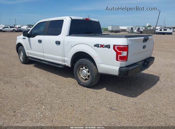 1FTEW1EB6KKC24823 2019 FORD F150 White 