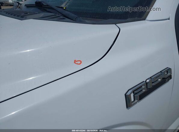 1FTEW1EB6KKC24823 2019 FORD F150 White 