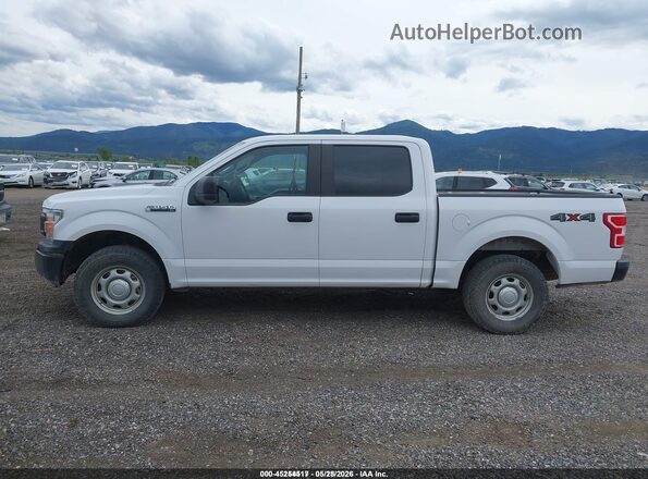 1FTEW1EB6LKF21723 2020 FORD F150 White 