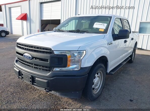 1FTEW1EB7KKC24832 2019 FORD F150 Белый Вид спереди