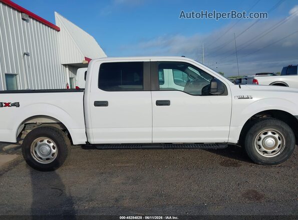 1FTEW1EB7KKC24832 2019 FORD F150 Белый Вид задней части салона