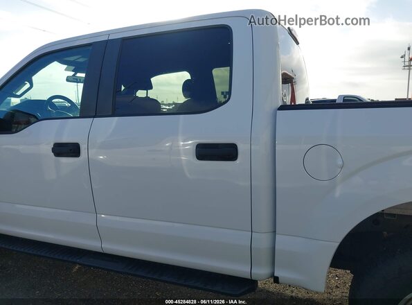 1FTEW1EB7KKC24832 2019 FORD F150 Белый Панорамный вид салона 360°